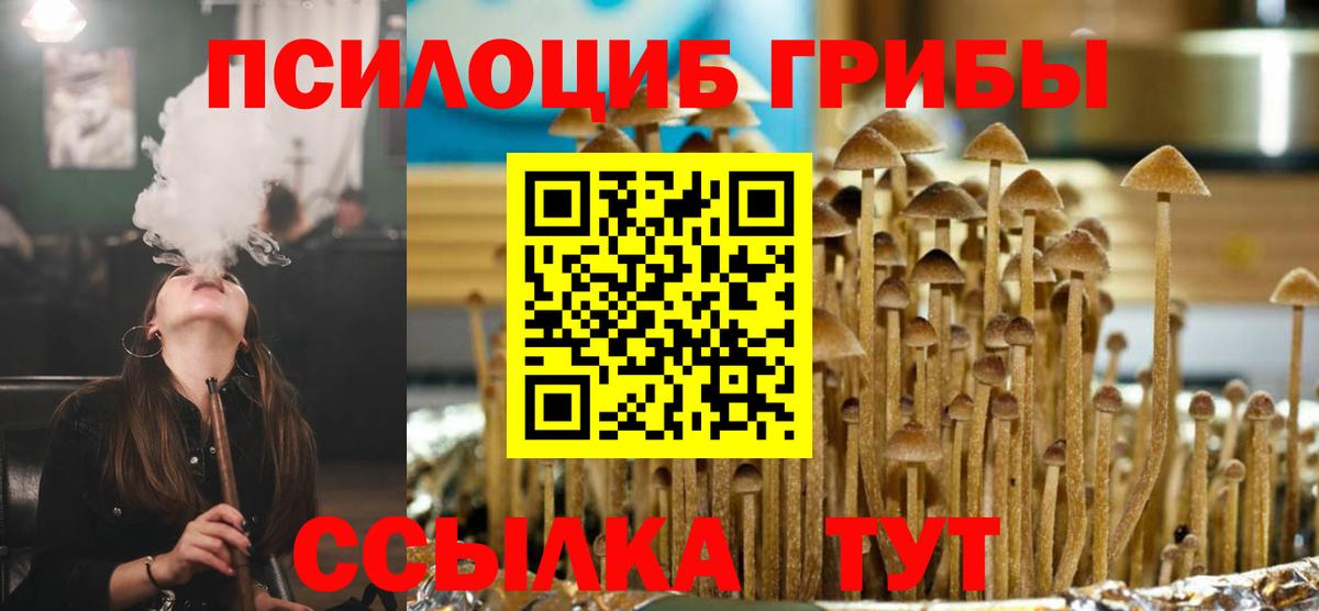 Галлюциногенные грибы прущие грибы Новошахтинск