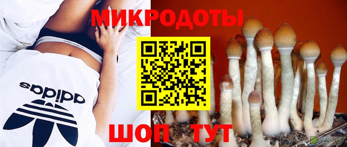 Псилоцибиновые грибы мицелий  Галлюциногенные грибы MAGIC MUSHROOMS  Новошахтинск  Вход с VPN 